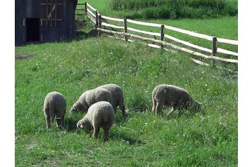 Vasaras māja Výprachtice 7